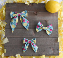Load image into Gallery viewer, Seafoam Fruit Classic Bow