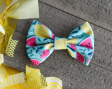 Load image into Gallery viewer, Seafoam Fruit Classic Bow